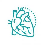 patologias Relacionadas cardiovascular